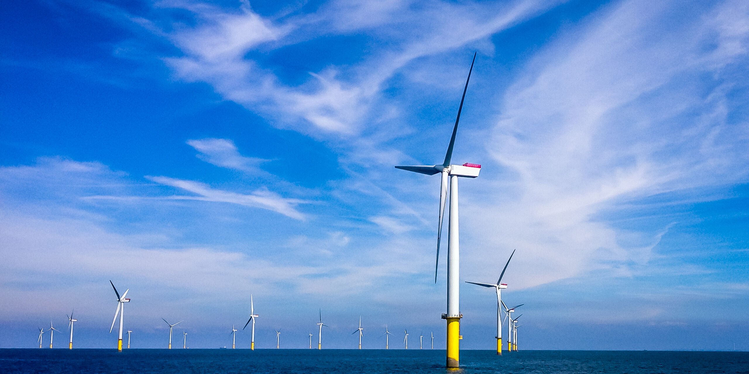 Wind turbine field offshore